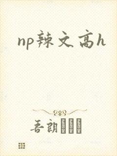 np辣文高h