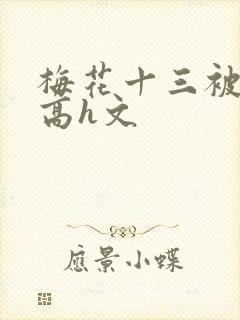 梅花十三被强肉高h文