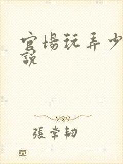 官场玩弄少妇小说