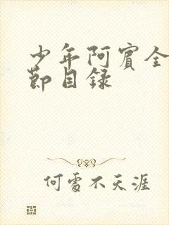 少年阿宾全文章节目录