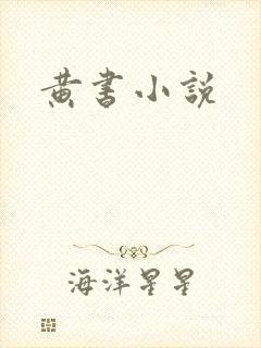 黄书小说