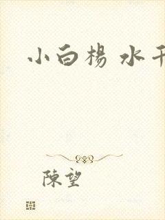小白杨 水千丞