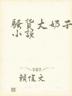 骚货大奶子言情小说