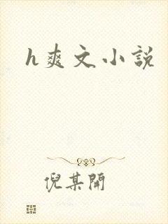h爽文小说