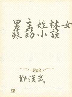 男主姓林女主姓苏的小说