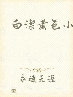 白洁黄色小说