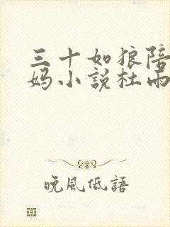 三十如狼陪读妈妈小说杜雨馨封面