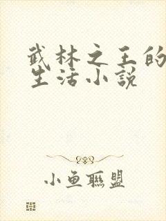 武林之王的退隐生活小说