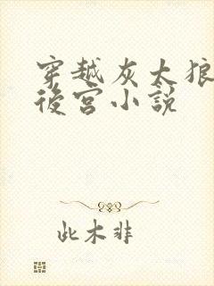 穿越灰太狼风流后宫小说