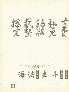 总裁的私有宝贝完整版免费阅读