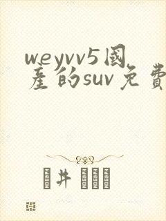 weyvv5国产的suv免费封面