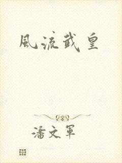 风流武皇封面