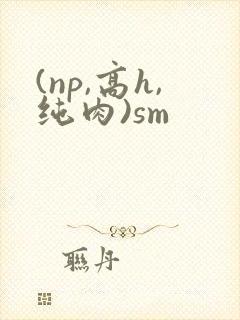 (np,高h,纯肉)sm