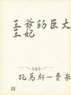 王爷的巨大进入王妃