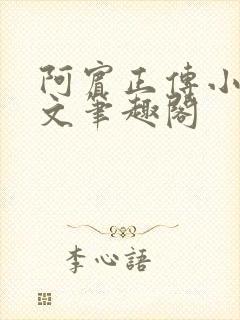 阿宾正传小说全文笔趣阁