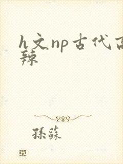 h文np古代高辣