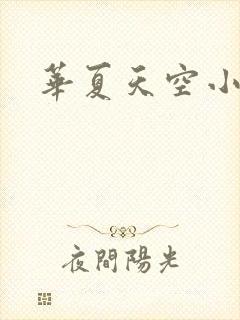 华夏天空小说网