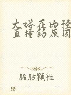 大蟒在内径横冲直撞的原因