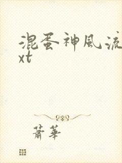 混蛋神风流史txt封面