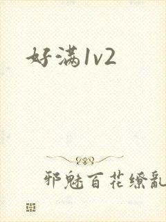 好满1v2