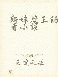 新妹魔王的契约者小说