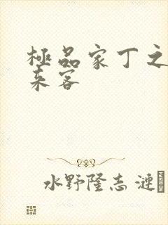 极品家丁之远方来客