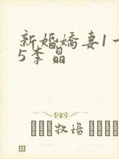 新婚娇妻1一25李晶