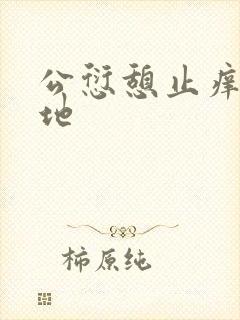 公愆憩止痒玉米地