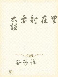 不要射在里面小说