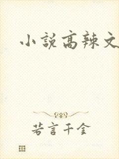 小说高辣文h
