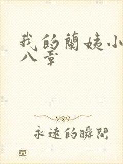 我的兰姨小说第八章封面