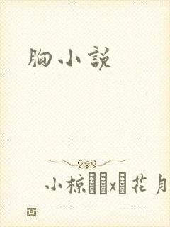 胸小说