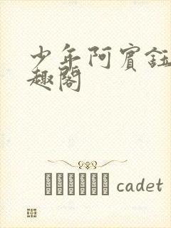 少年阿宾钰慧笔趣阁封面