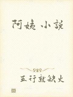 阿姨 小说