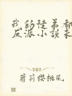 我的徒弟都是大反派小说未删版完整