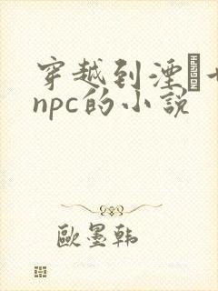 穿越到湮婸世界npc的小说