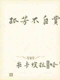 孤芳不自赏小说