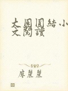 大团圆结小茹全文阅读