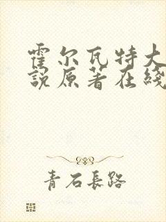 霍尔瓦特大街小说原著在线阅读