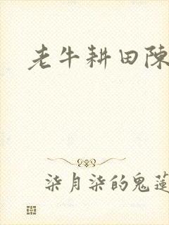 老牛耕田陈雪