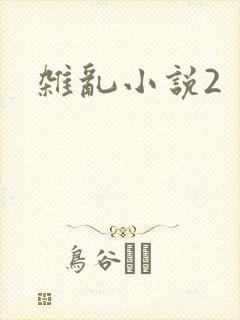 杂乱小说2