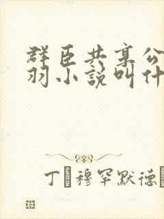 群臣共享公主银羽小说叫什么