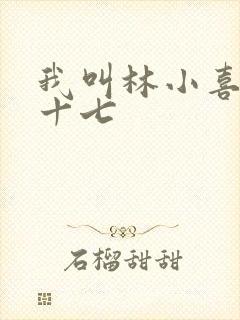 我叫林小喜今年十七