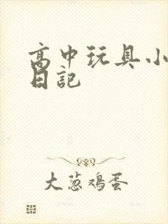 高中玩具小诗的日记封面