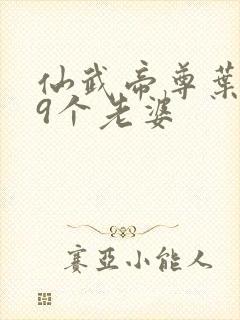 仙武帝尊叶辰19个老婆