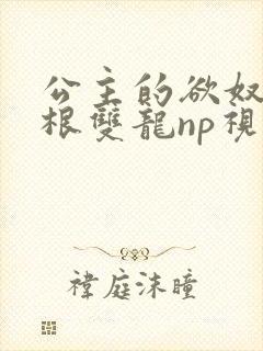 公主的欲奴h四根双龙np视频