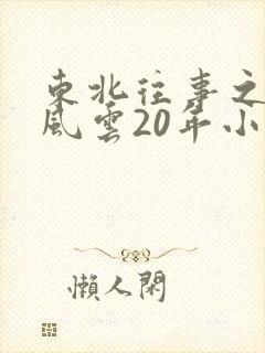东北往事之黑道风云20年小说封面