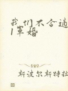 我们不合适1v1军婚