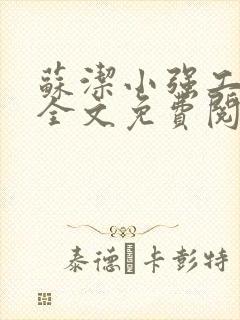 苏洁小强工地情全文免费阅读