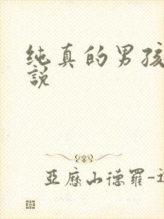 纯真的男孩子小说封面